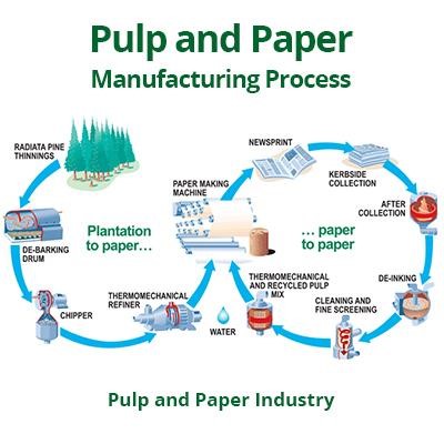 فرآیند تولید خمیر و کاغذ